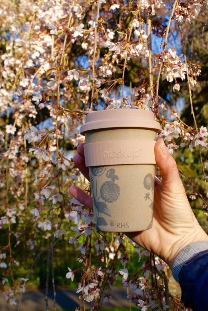 eco friendly reusable coffee mugs that can be customised with a pink band stood in front of a tree that has beautiful pink blossoms